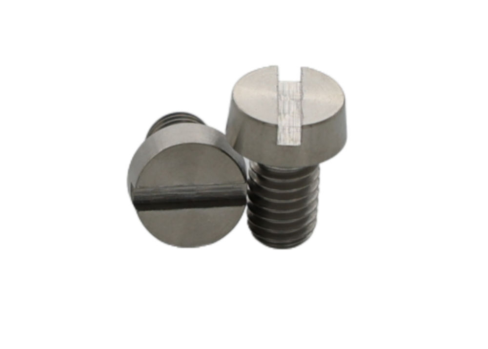 Customized Titanium Slotted Head Screws For Industrial